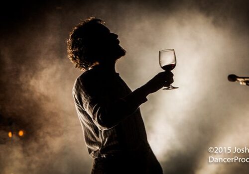 Silhouette of person holding a wine glass.