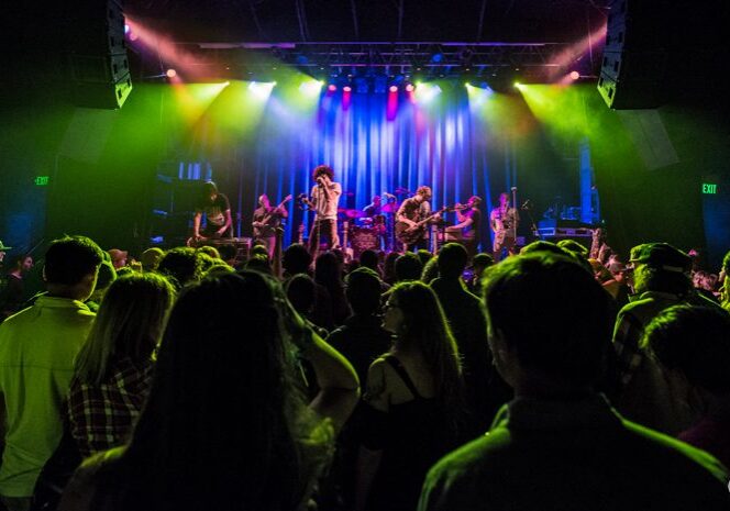Concert crowd enjoying live band performance.