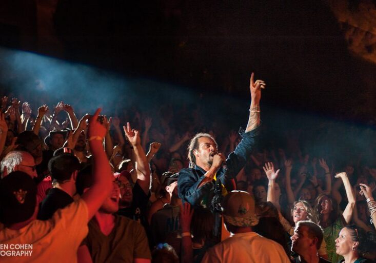 Singer performing amidst cheering crowd at concert.