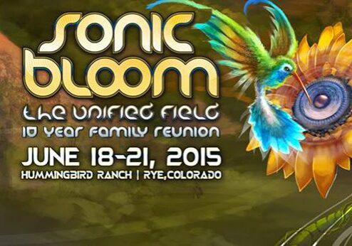 Sonic Bloom festival poster with hummingbird art.