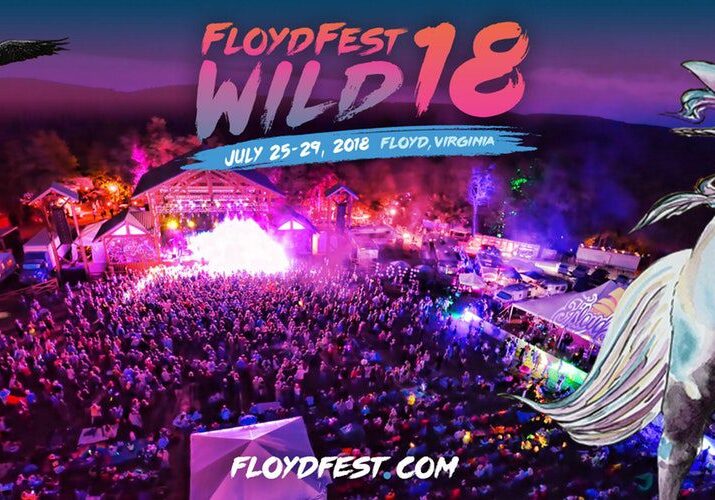 Outdoor music festival with vibrant crowd scene.