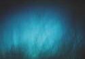 Blue glowing abstract underwater scene with plants.