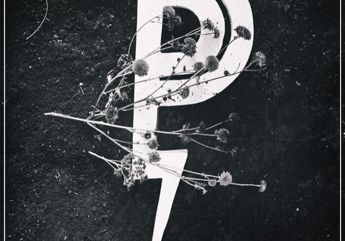 Stylized letter P with dried flowers.
